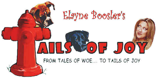 Tails of Joy Donation