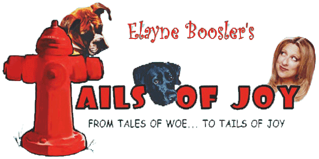 Donation to Tails of Joy